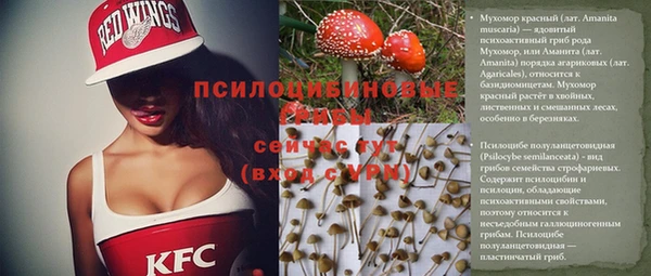 соль курить ск Сосновка